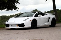 gallardo-0000000
