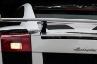 gallardo-0000004