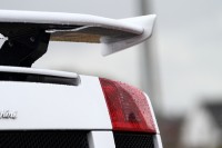gallardo-0000010