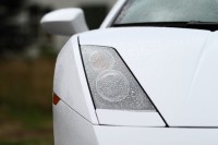 gallardo-0000013