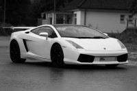 gallardo-0000015