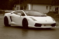 gallardo-0000016