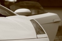 gallardo-0000020
