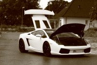 gallardo-0000022
