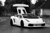 gallardo-0000023