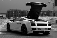 gallardo-0000026