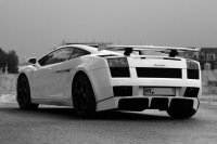 gallardo-0000028
