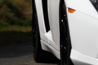 gallardo-0000040