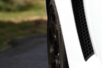 gallardo-0000041