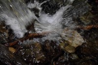 natur1-0000149