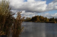 natur1-0000022