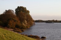 natur1-0000029