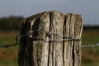 natur1-0000032