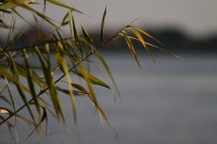 natur1-0000077