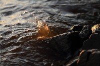 natur1-0000092