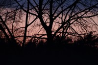 natur1-0000094